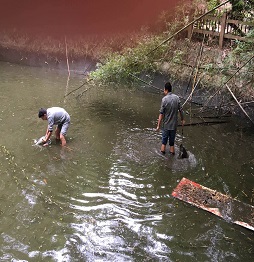 2捕魚 (1).jpg